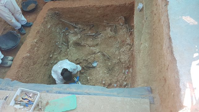 Trabajos-exhumacion-fosa-cementerio-Paterna_EDIIMA20170814_0228_30